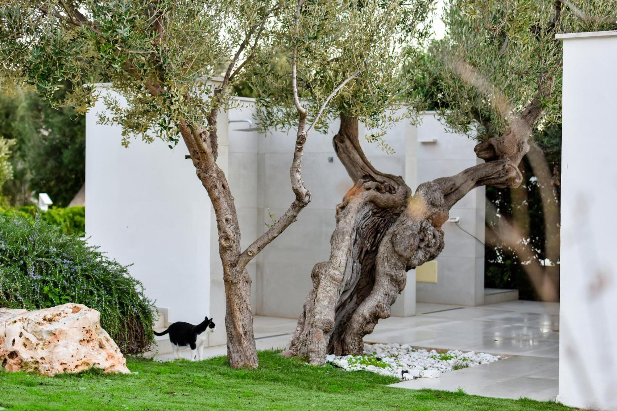 Villa Vinner - Monopoli Ngoại thất bức ảnh